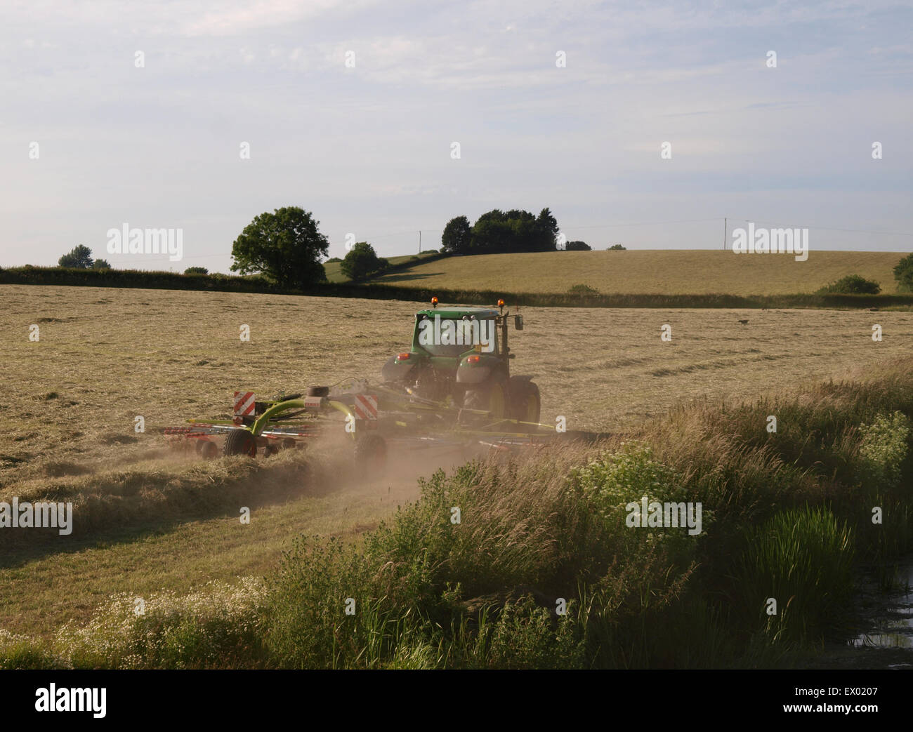 Silageherstellung - Bauer mit einem Rotor-Rechen um den gemähten Rasen in Schwaden bereit für Ballenpresse, Somerset Levels, Großbritannien Stockfoto