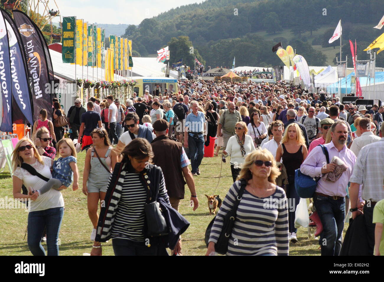 Menschen lesen die Messestände auf einem anstrengenden Tag bei Chatsworth Country Fair, Peak District, Derbyshire, England UK - 2014 Stockfoto