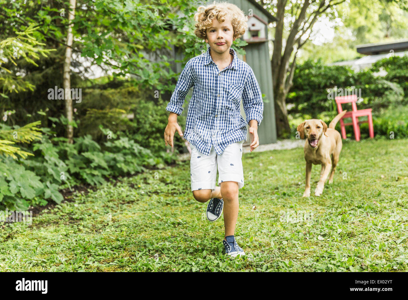 Junge mit Hund im Garten Stockfoto