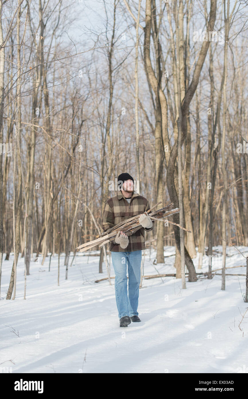 Mann, sammeln Holz im Wald, Youngs Point, Ontario, Kanada Stockfoto