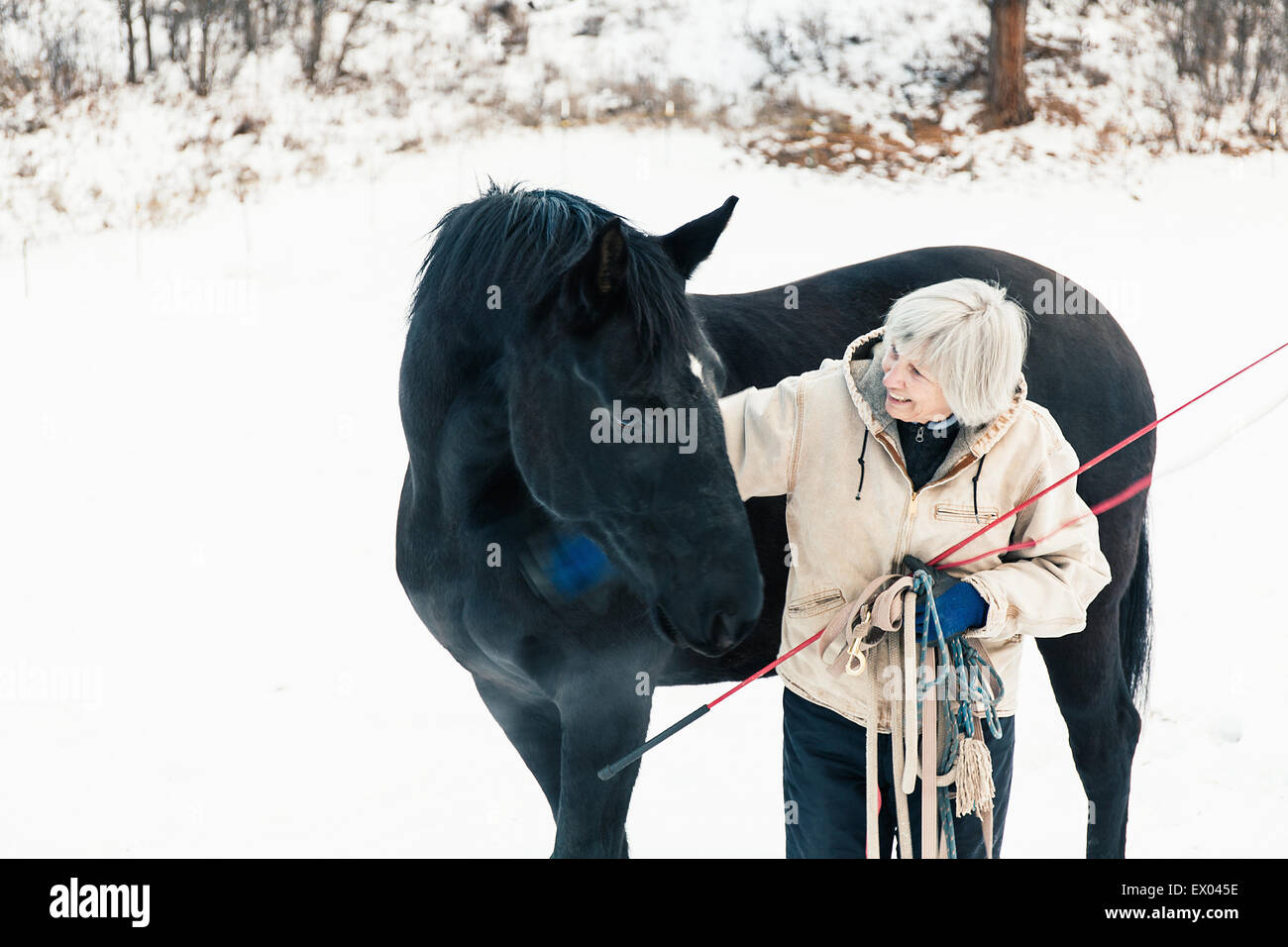 Ältere Erwachsene Frau stehend mit Pferd in Schneelandschaft Stockfoto