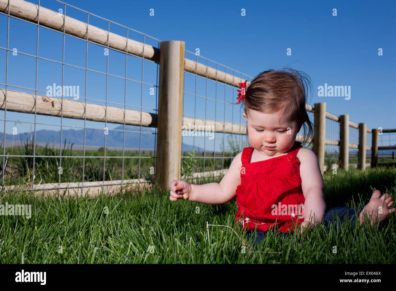 Porträt von netten weiblichen Kleinkind sitzen auf Rasen Stockfoto