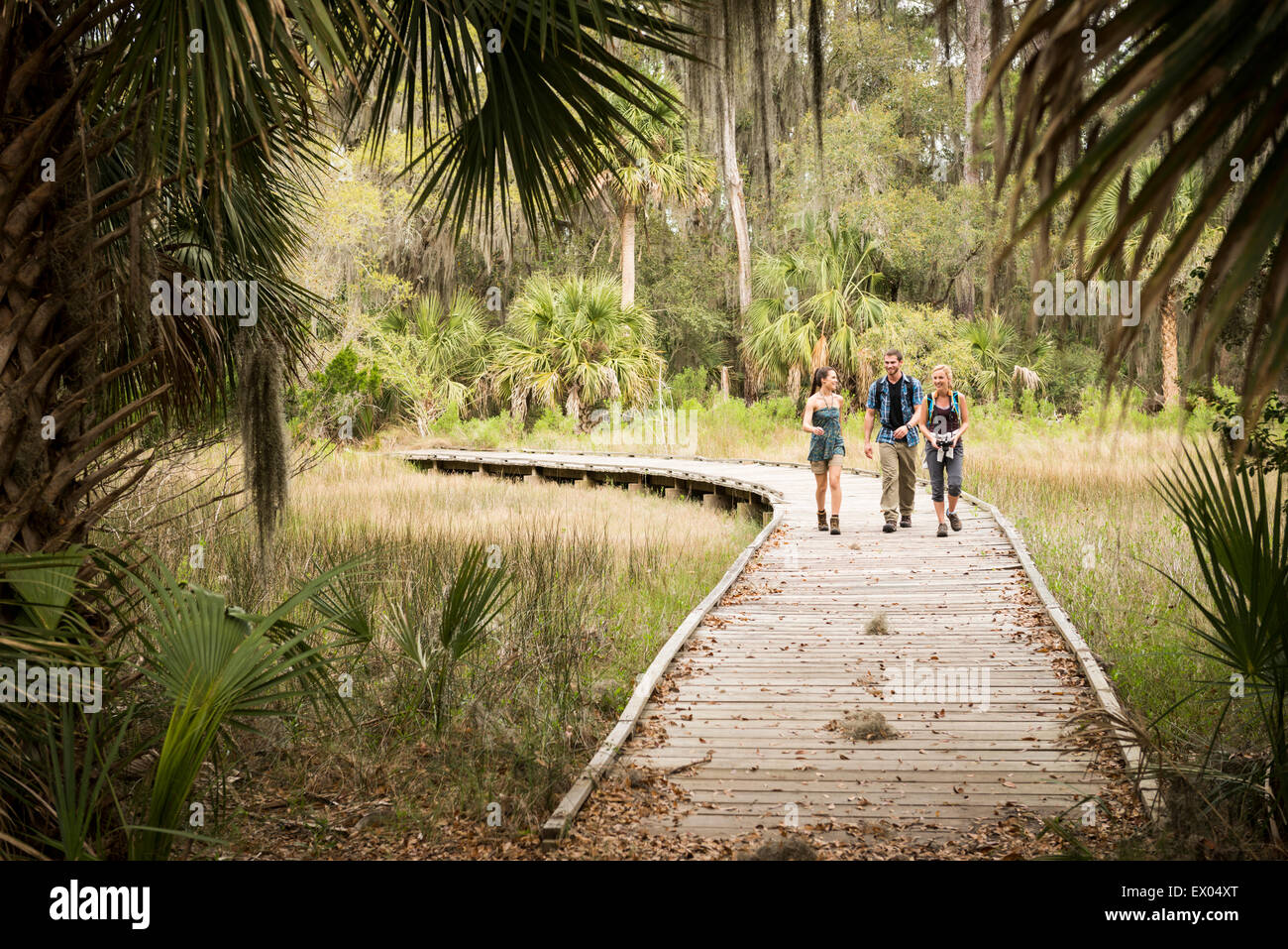 Wanderer auf Gehweg, Skidaway Island State Park, Savannah, Georgia, USA Stockfoto