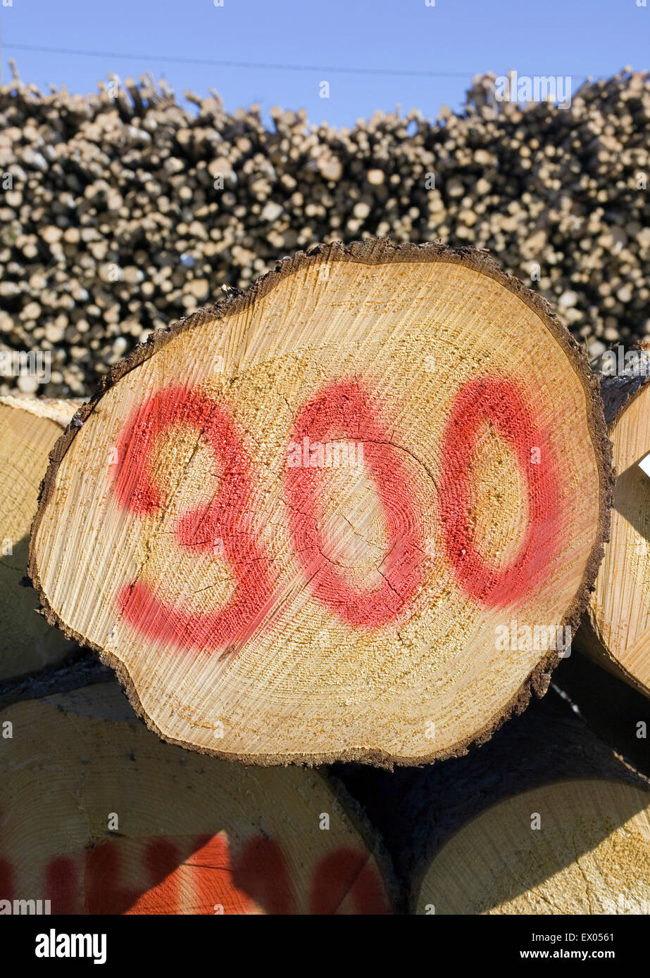Holz Stockfoto