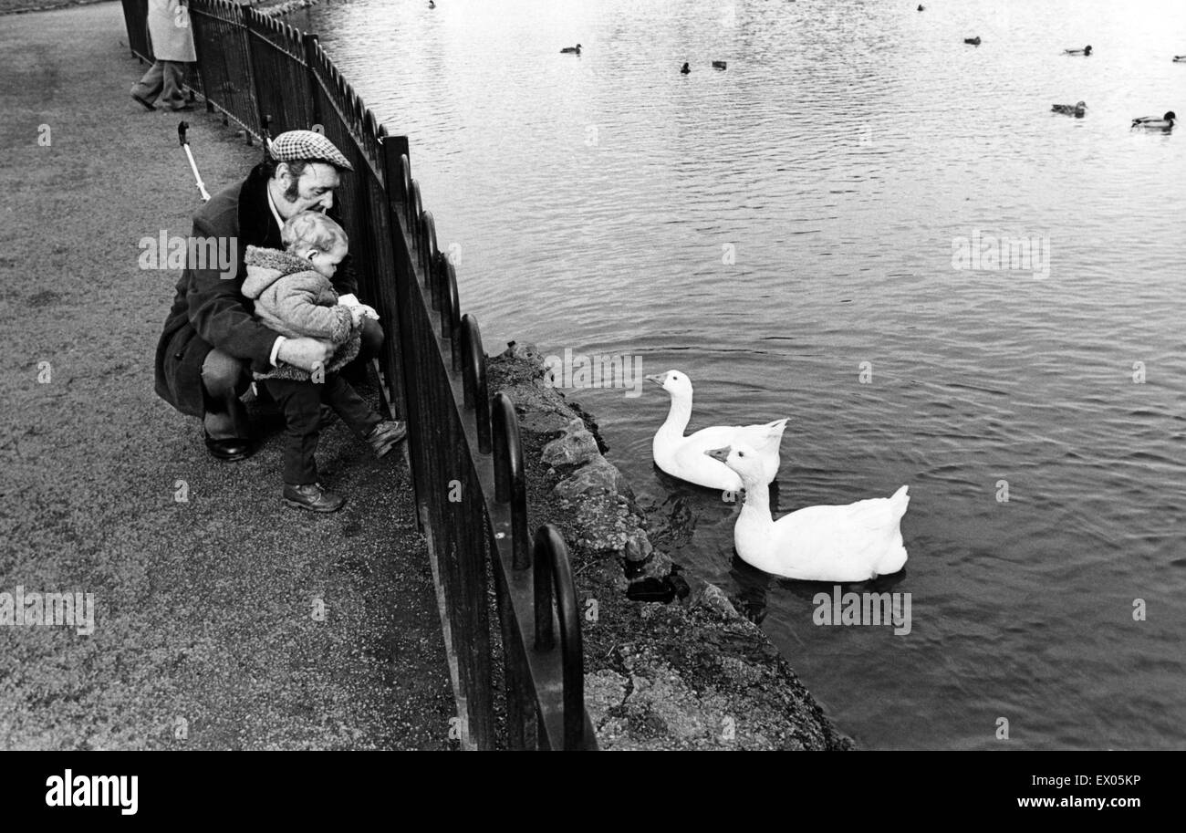 Ein Mann und Kind, die Vögel in den See im Albert Park, Middlesbrough, North Yorkshire zu betrachten. 6. März 1981. Stockfoto