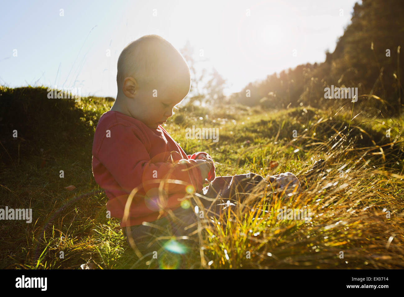 Babymädchen sitzen im Feld berühren Grashalme Stockfoto