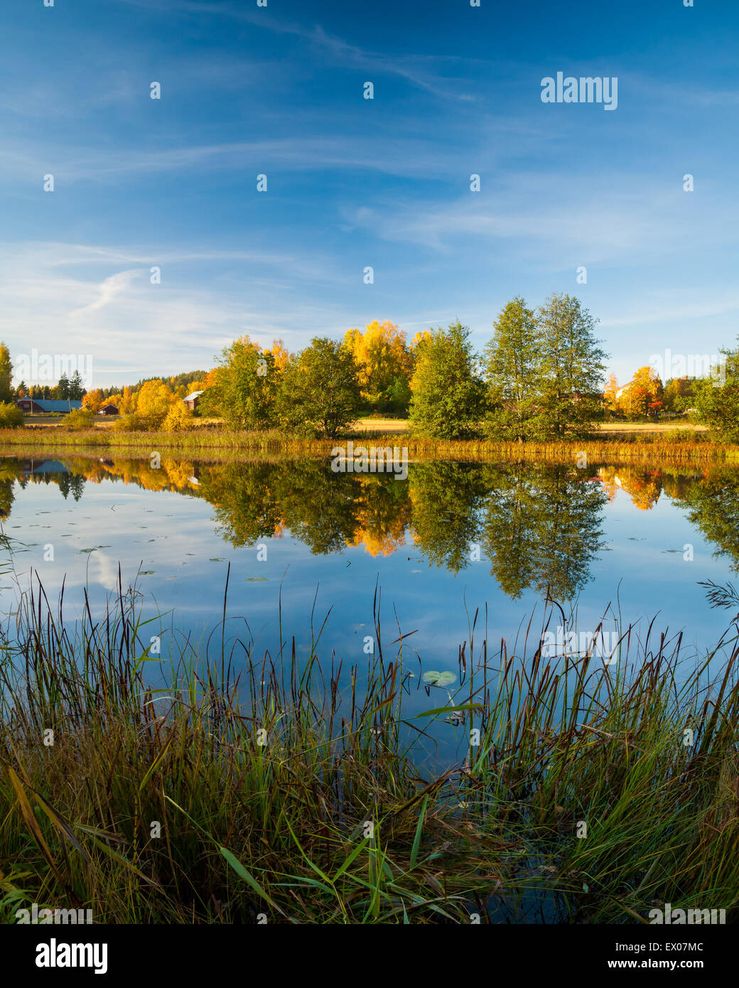 Ruhiges Wasser Herbst Natur Reflexion Stockfoto