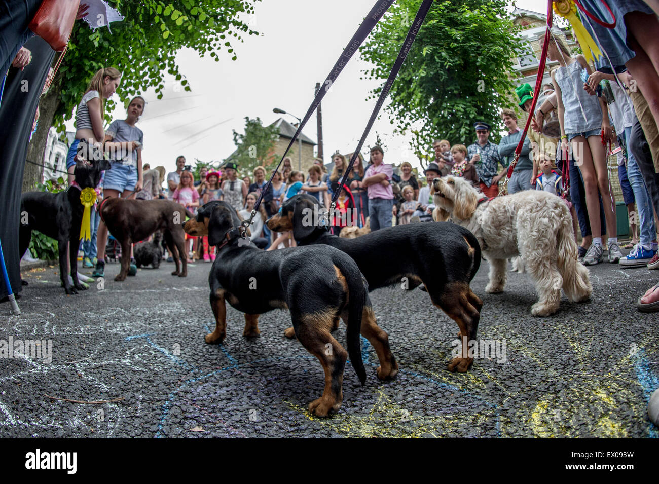Eine Rückansicht von einigen Hunden in einem Hund-Wettbewerb in London Stockfoto