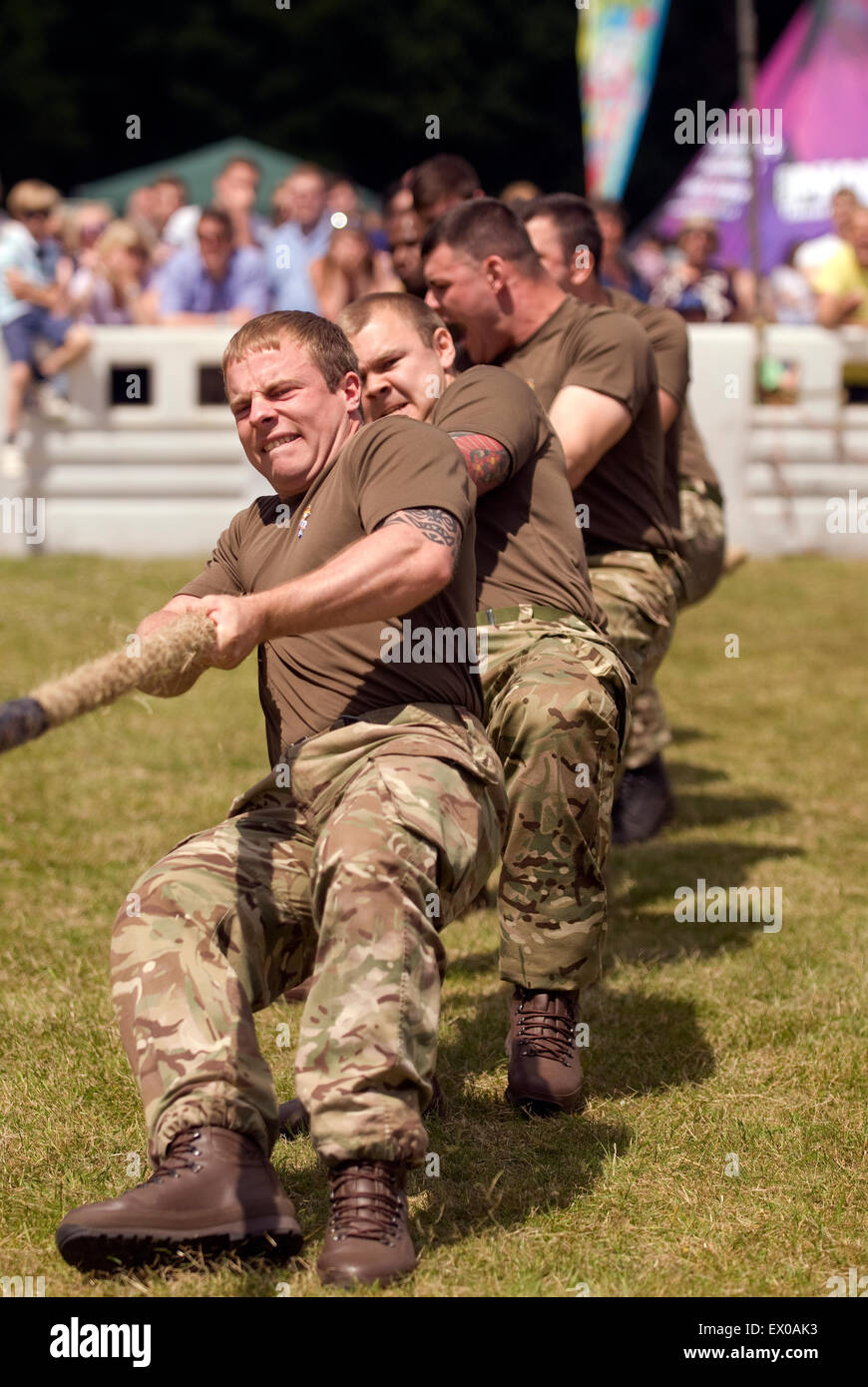 10 Trg Bn Inter Platoon Tug ' o ' Krieg, Abschied von der Garnison Festival, Bordon, Hampshire, UK. Samstag, 27. Juni 2015. Stockfoto