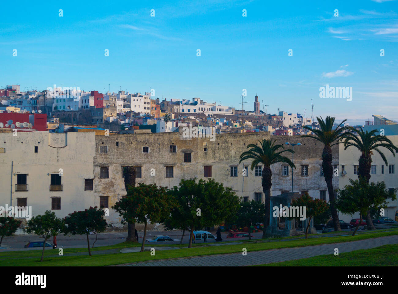 Mendoubia Gärten, Ville Nouvelle, Neustadt, Tanger, Marokko, Nordafrika Stockfoto