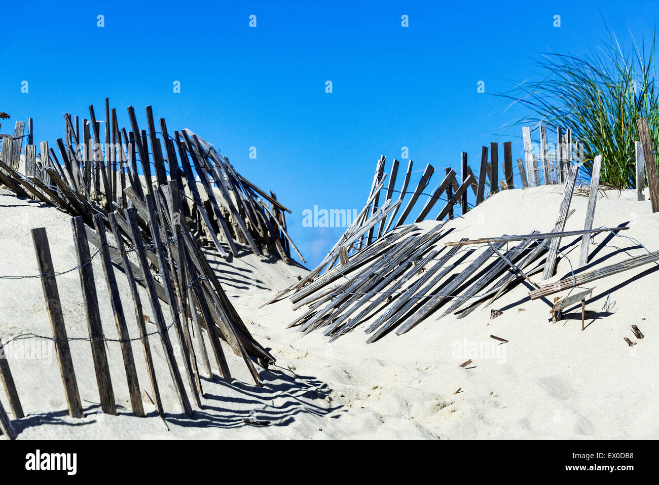 Verwitterte Wind Zaun einen Strand Weg hilft bei der Bekämpfung von Drift und Düne Winderosion, Truro, Cape Cod, Massachusetts, USA Stockfoto