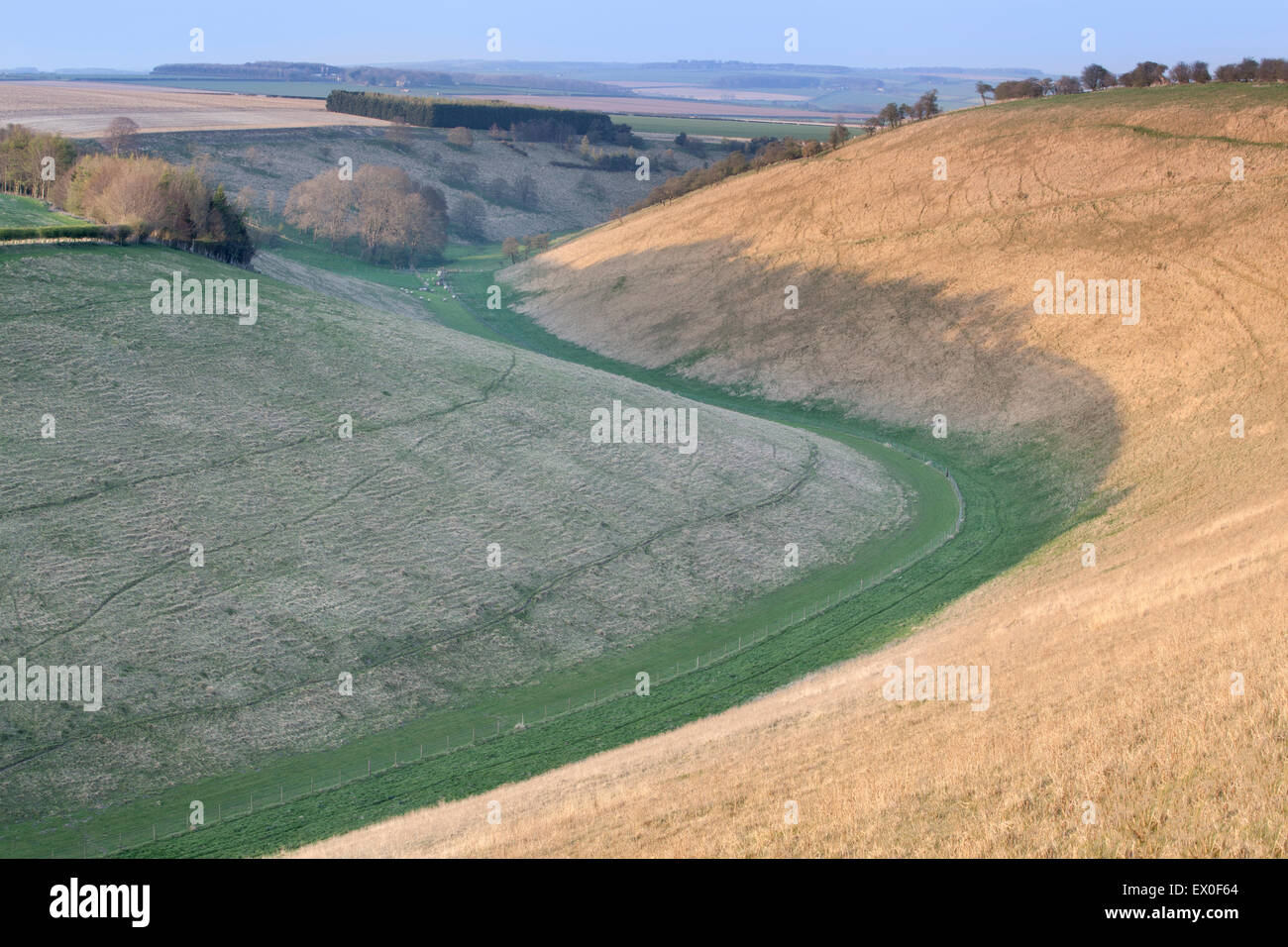 Weiche Abendlicht beleuchtet die Talseite des Pferdes Dale in der Nähe von Huggate in die Yorkshire Wolds, East Yorkshire, UK Stockfoto