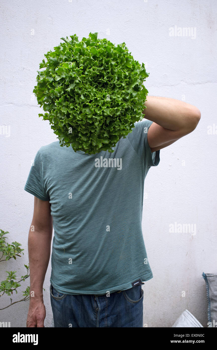 Ein Mann Gärtner halten einen großen Salat ist er gewachsen Stockfoto