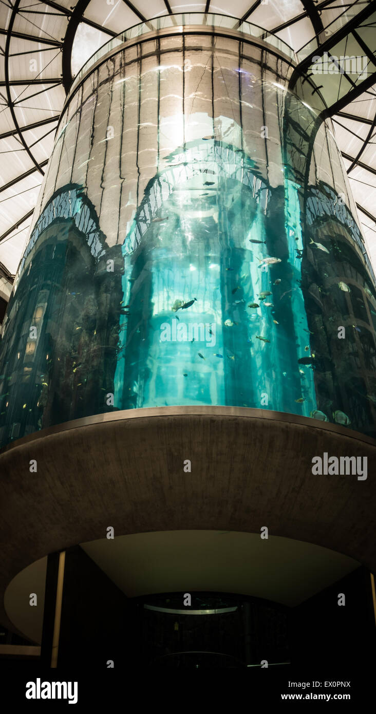 AquaDom heben Aquarium im Radisson Blu Hotel in Berlin-Mitte Stockfoto