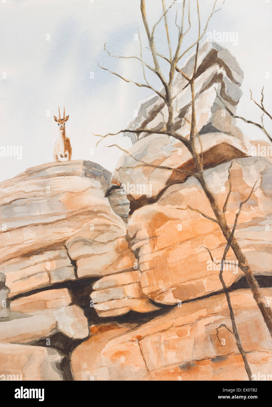 Original Aquarell, Klipspringer, mit Blick auf eine Felswand. Stockfoto