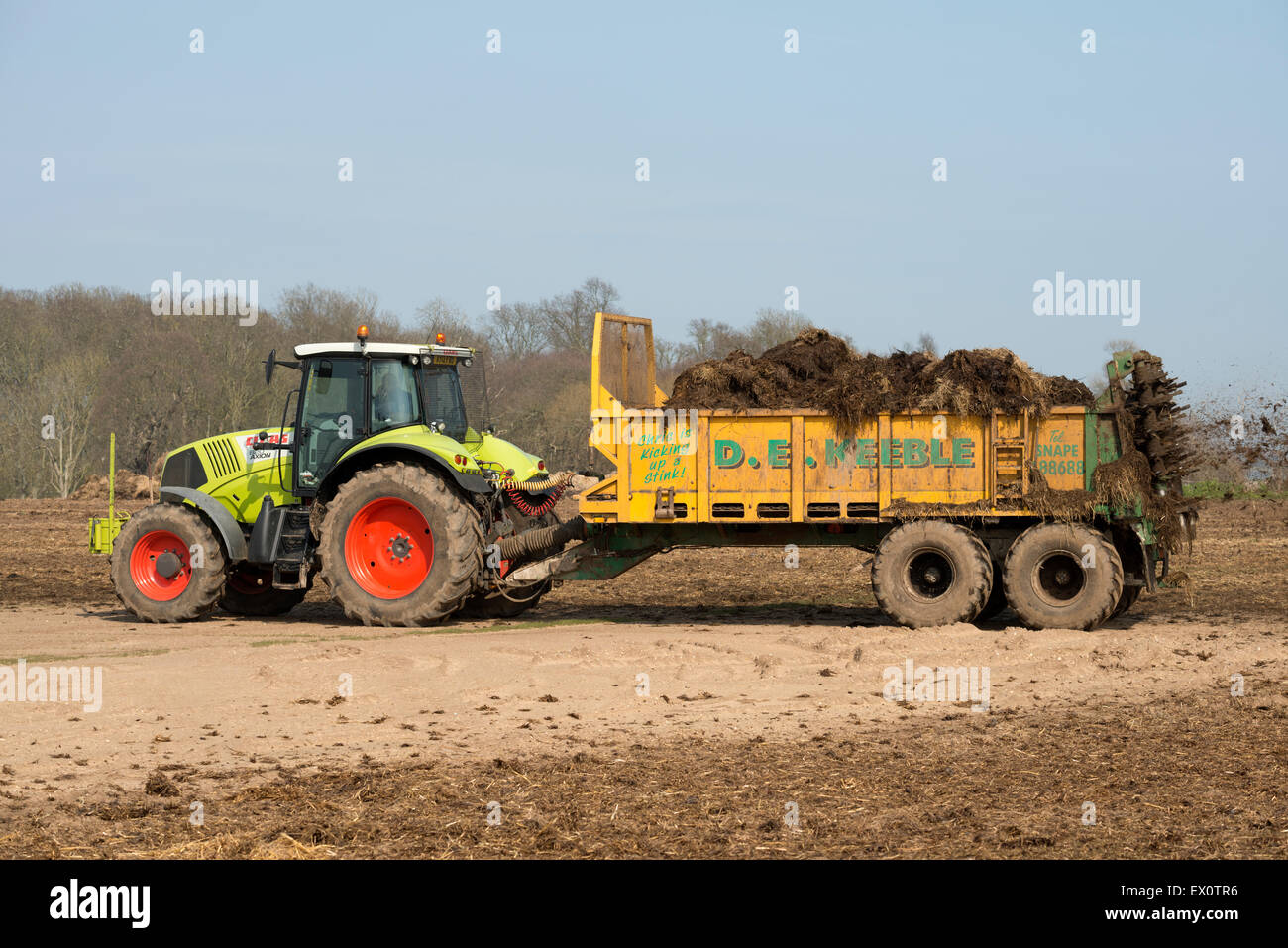 Muck wird Spead auf landwirtschaftlichen Anbauflächen, Iken, Suffolk, UK. Stockfoto