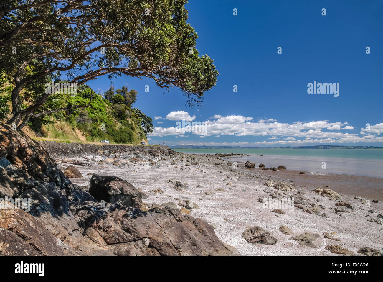 Küste in der Nähe der Themse, Coromandel Peninsula, Neuseeland Stockfoto