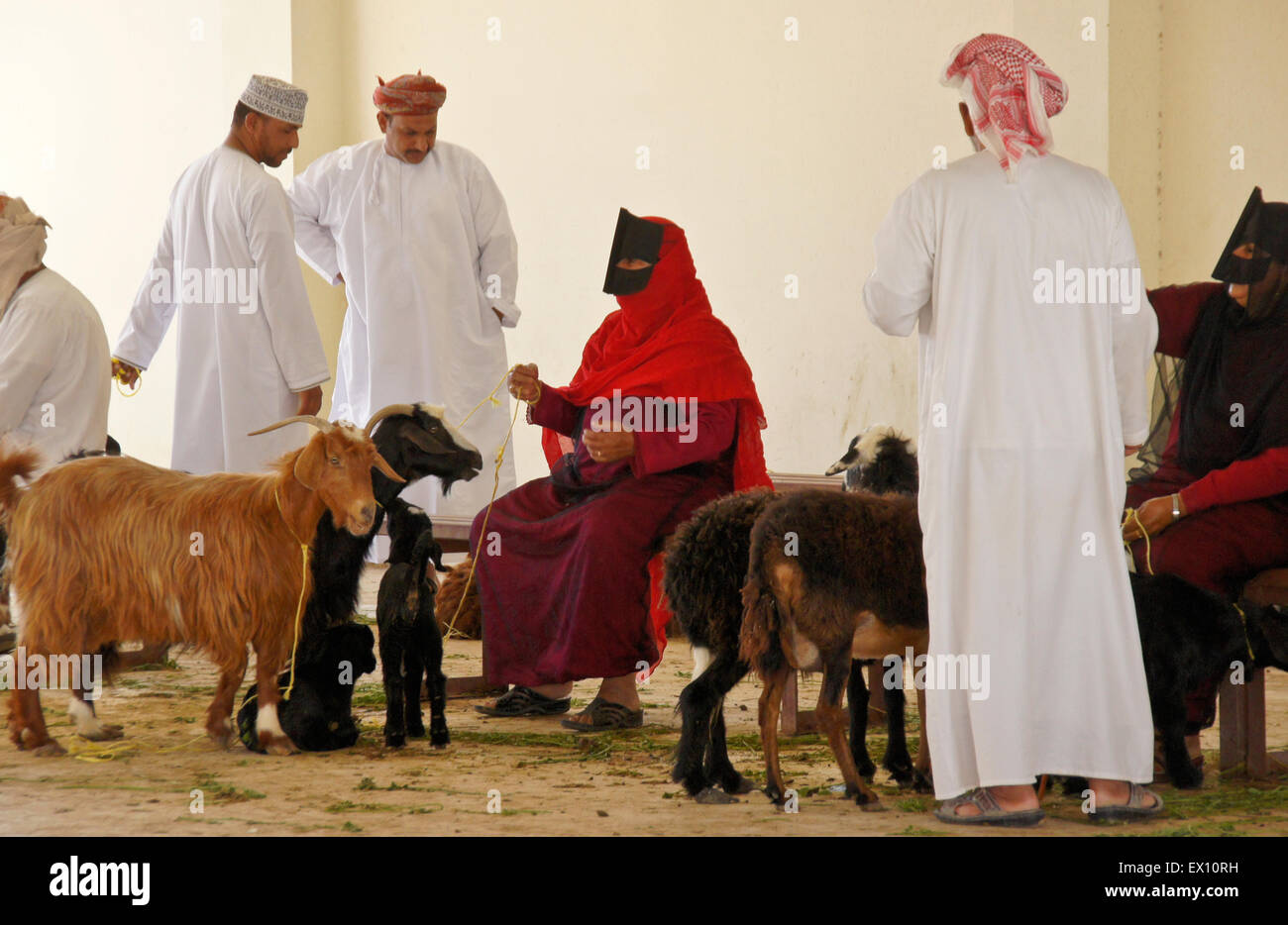 Beduinen (Beduinen) Menschen kaufen und verkaufen Ziegen auf Tiermarkt in Sinaw, Oman Stockfoto