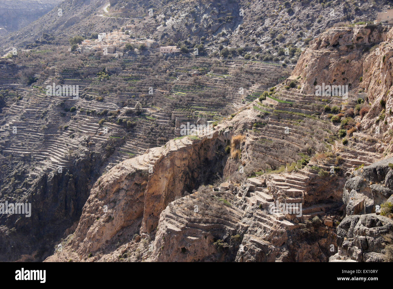 Dorf und landwirtschaftlichen Terrassen am Jebel Akhdar, Al-Hajar-Gebirge, Sultanat von Oman Stockfoto