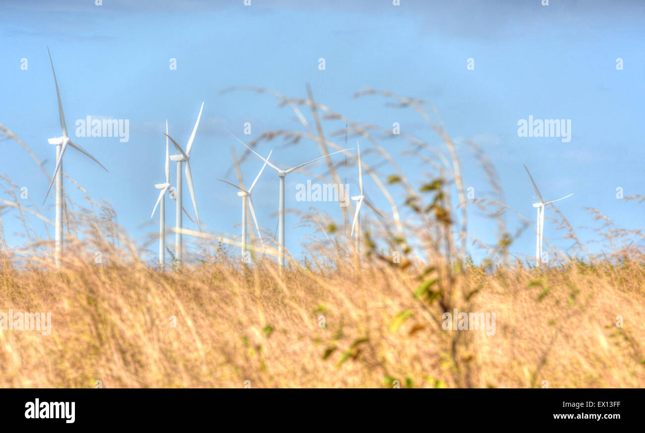Wind Turbine Farm mit blauen Himmel und hohe Gräser Stockfoto