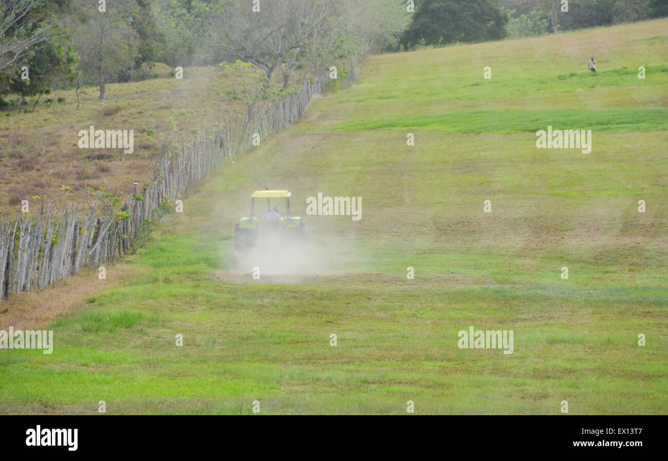 Traktor Ausschnittgras in einem Feld in der Landschaft von Panama Stockfoto