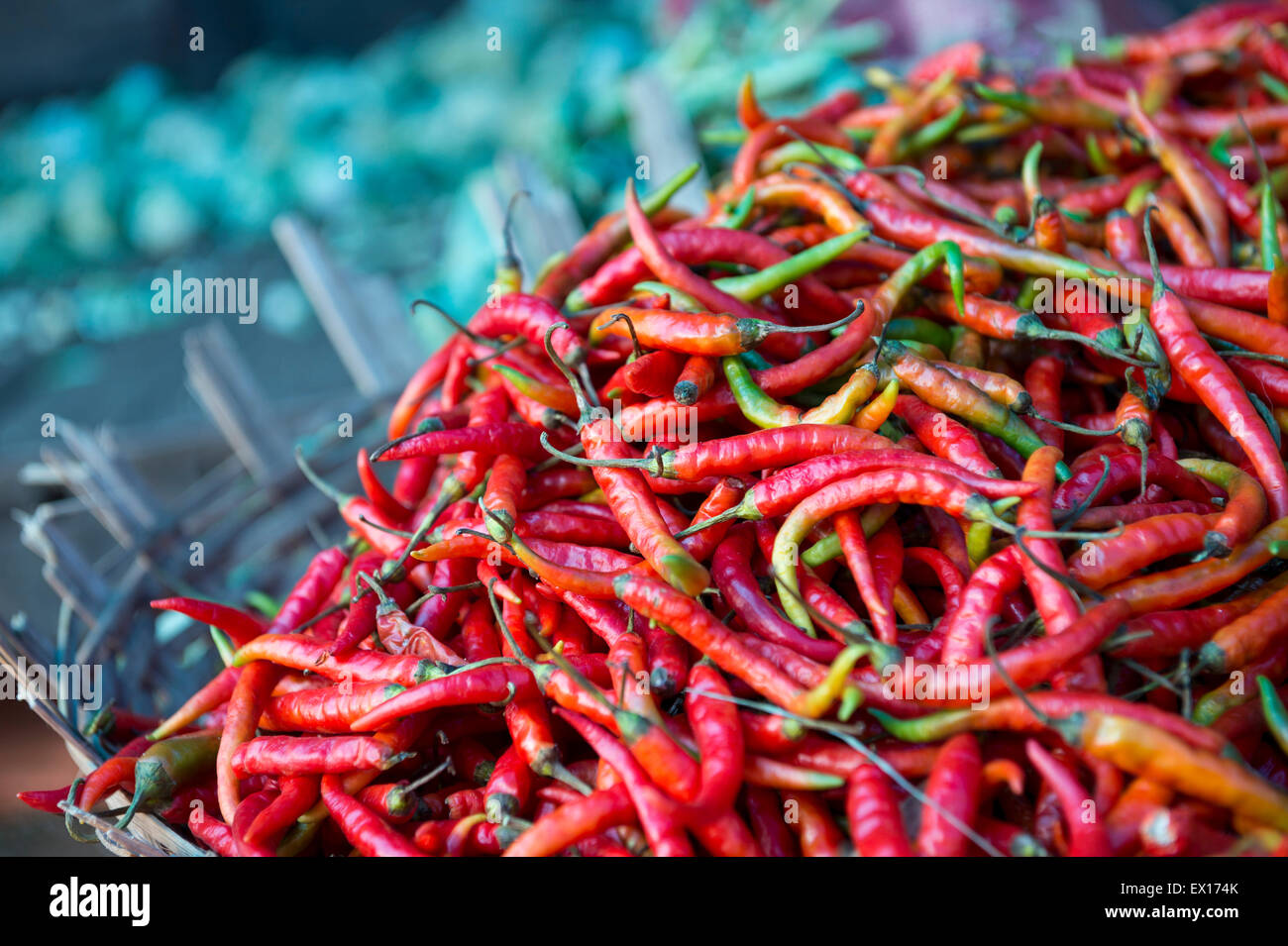 Haufen von frischen feurige rote scharfe Chilischoten auf dem Display in rustikalen Korb auf einer Outdoor-Gemüsemarkt in Mysore, Indien Stockfoto