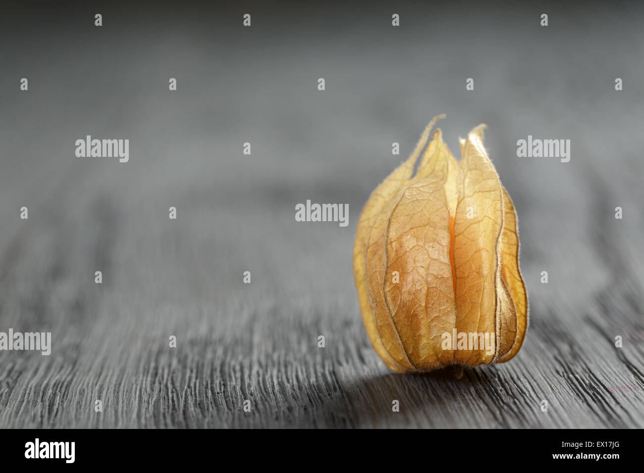 Physalis Früchte auf Eiche Holz Tisch Stockfoto