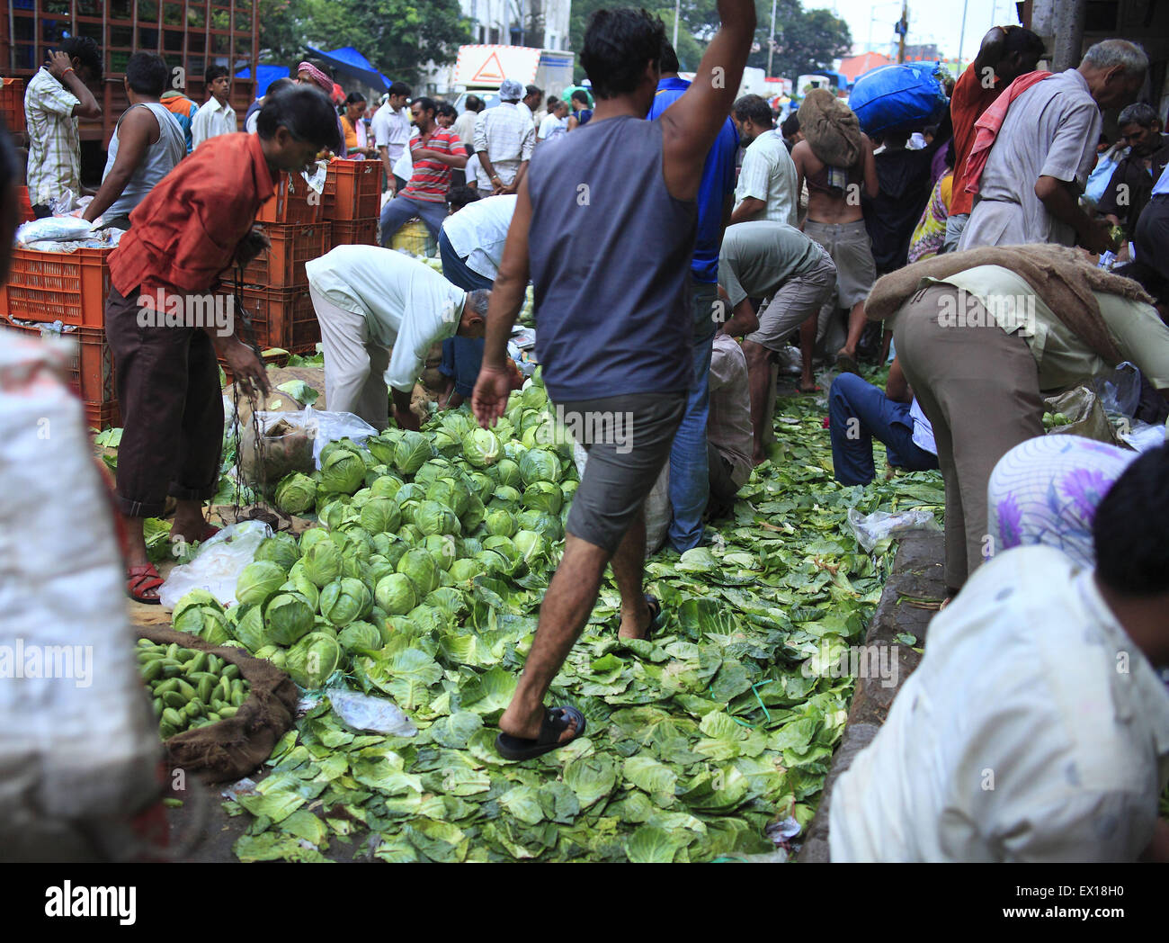 22. August 2014 - 22. August 2014 - Mumbai, Indien:. Dadar Vegetable Market am Mumbai.India, der weltweit größte Produzent von Milch und der zweitgrößte Produzent von Obst und Gemüse, ist auch einer der größten Lebensmittel-Verschwender in der Welt - 440 Milliarden Rupien Wert von Obst, Gemüse und Getreide jährlich nach Emerson Climate Technologies India, Teil von Emerson, einem US-amerikanischen Fertigung und Technologie-Unternehmen verschwenden. Cold Storage-Lösungen, die stark in Indien fehlen, erforderlich sind, um Verluste zu reduzieren, sagen Experten. In Indien warst ist mehr als 40 Prozent der Frischwaren Stockfoto