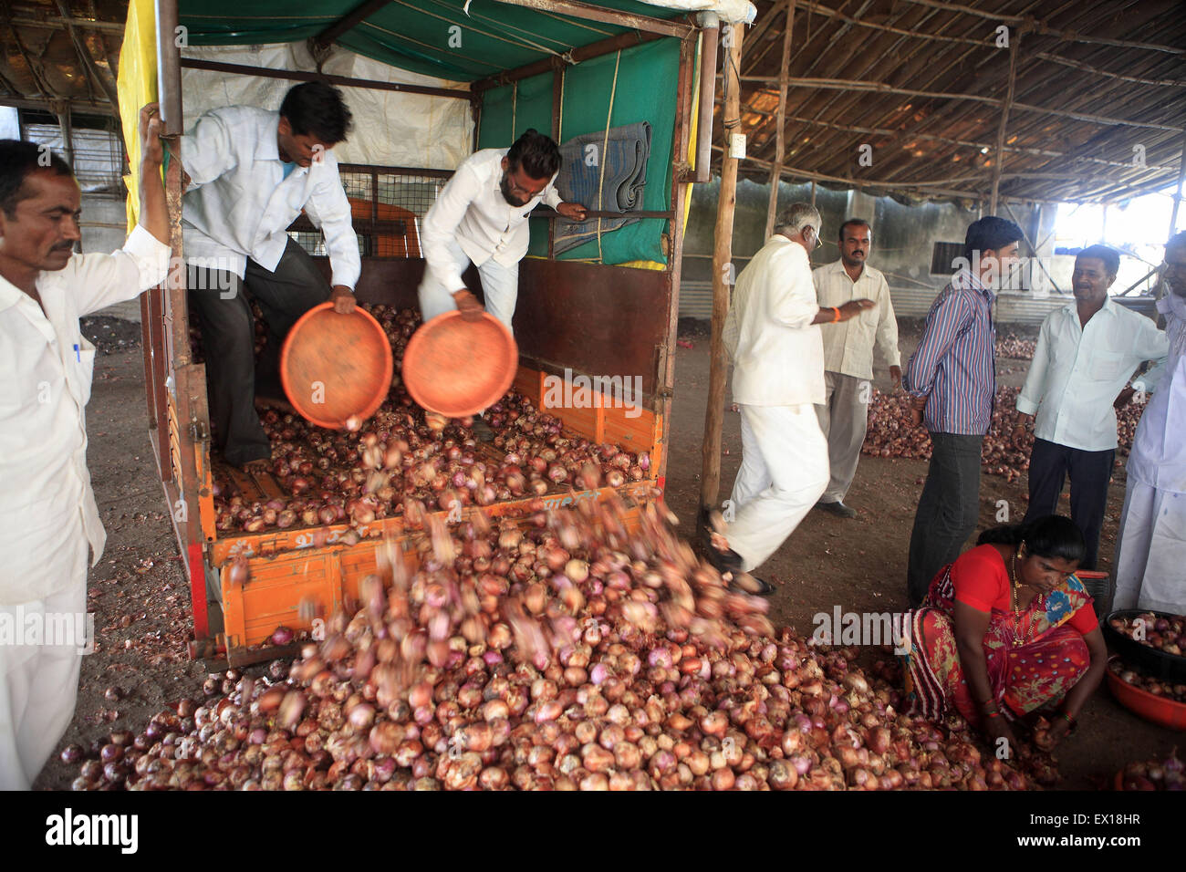 Maharashtra, Indien. 26. September 2013. 26 Sept. 2013: Lasalgaon, Indien:. Ein Zwiebel-Händler entlädt das Lager in seinem Lager nach kaufte er die Zwiebeln bei der Auktion am Lasalgaon-Zwiebel-Market.India, der weltweit größte Produzent von Milch und der zweitgrößte Produzent von Obst und Gemüse, ist auch eines der größten Lebensmittel-Verschwender in der Welt - 440 Milliarden Rupien Wert von Obst, Gemüse und Getreide jedes Jahr verschwenden laut Emerson Climate Technologies India , Teil von Emerson, einen US-amerikanischen Fertigung und Technologie-Unternehmen. Cold Storage Lösungen, die stark la Stockfoto