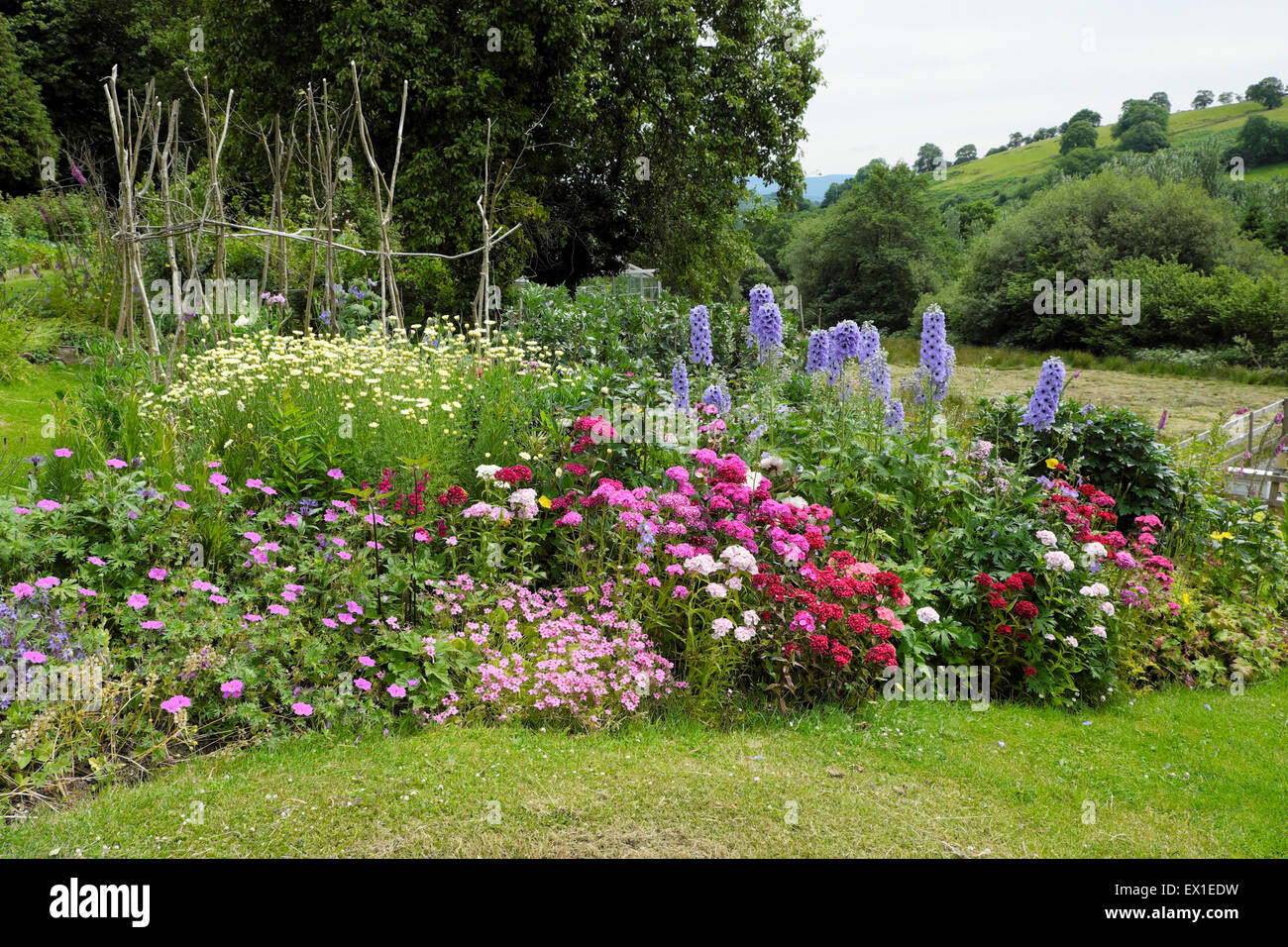 Blick auf schöne Cottage Garten krautigen Grenze gemischte Blumen ländlichen Garten in Blüte in der Landschaft in West Wales UK KATHY DEWITT Stockfoto
