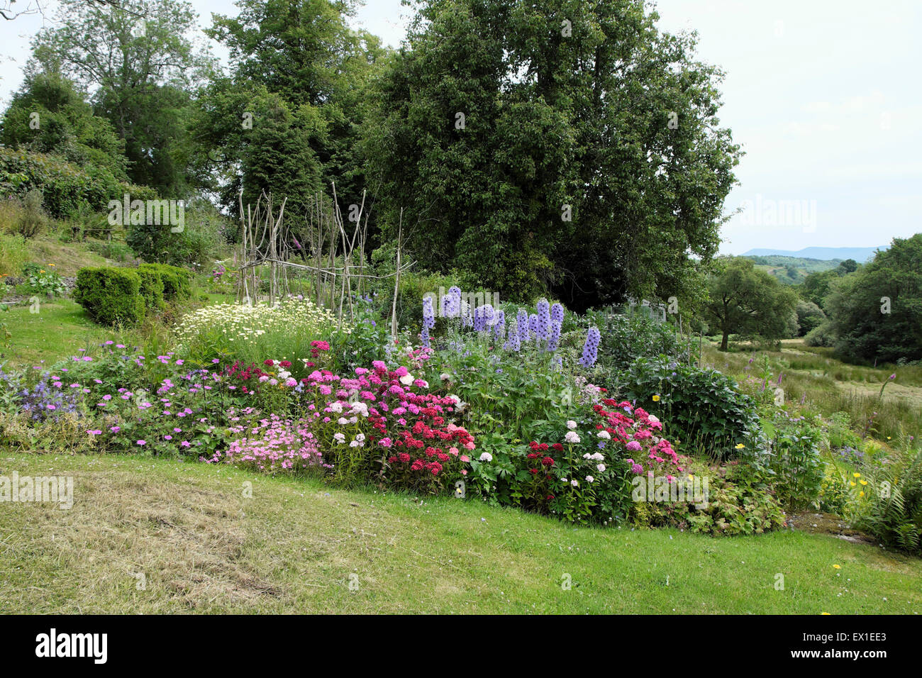 Ländlichen Garten Stauden Grenze mit Blick auf die Landschaft in Carmarthenshire Wales UK KATHY DEWITT Stockfoto