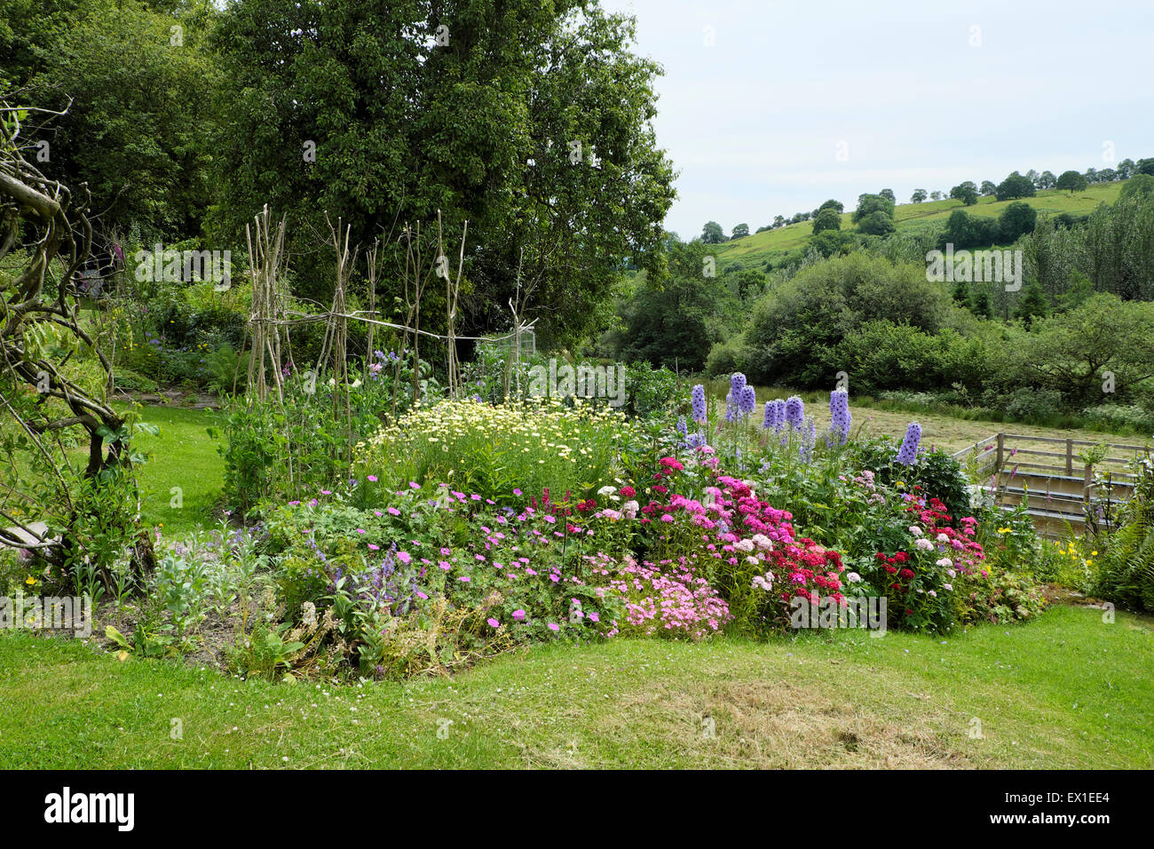 Schöne Cottage Garten Stauden in einem krautigen Blumenrand in einem ländlichen Garten Carmarthenshire West Wales UK KATHY DEWITT Stockfoto