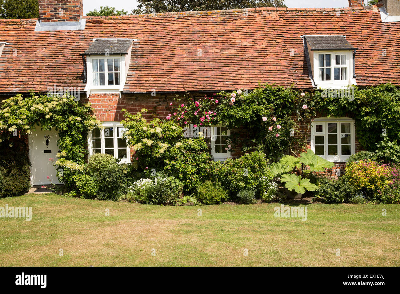 Rosen wachsen um hübsche Ferienhäuser, Orford, Suffolk, England, UK Stockfoto