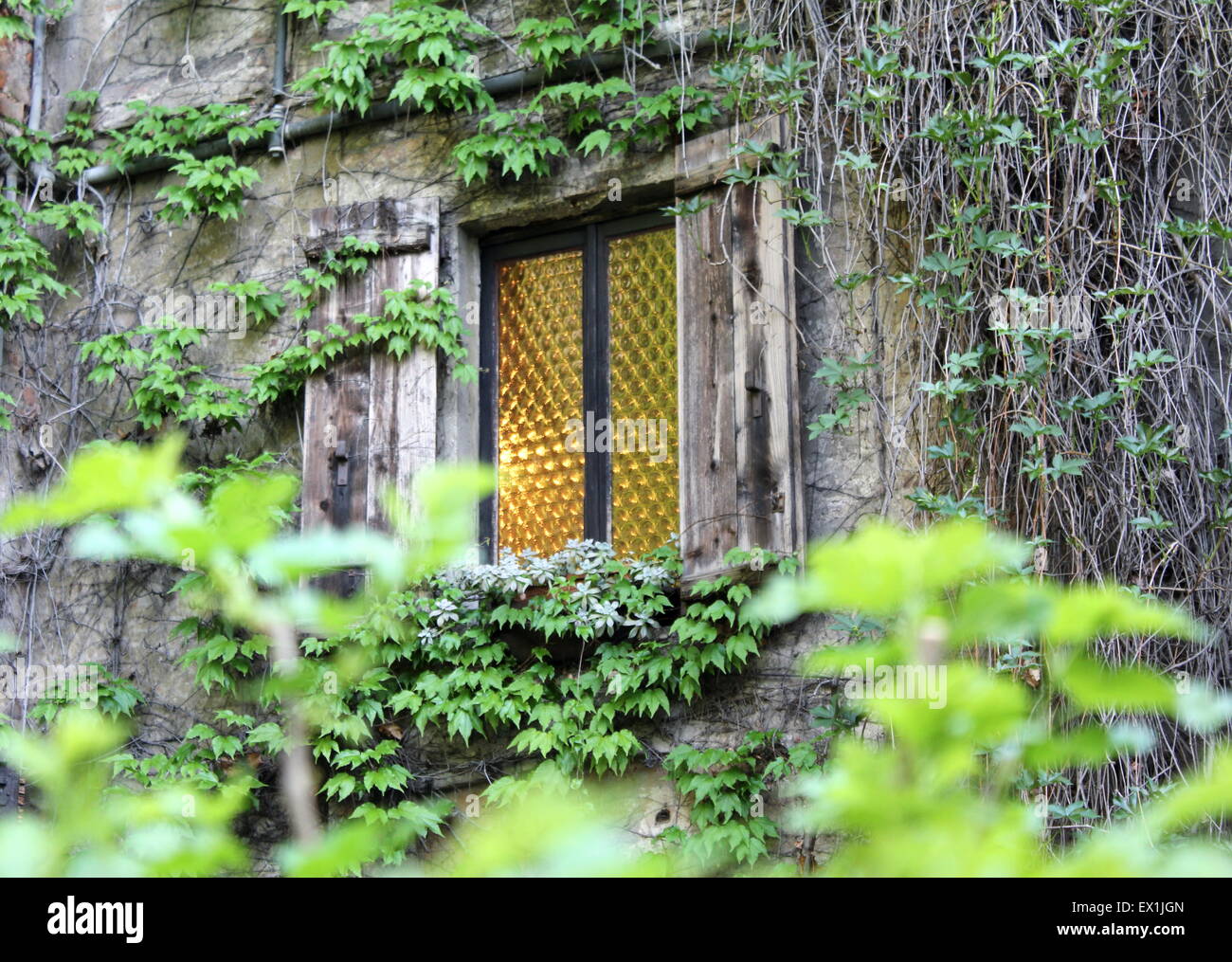 Fenster mit Glasmalerei in grün, Postkarte in Mailand, Italien. Stockfoto