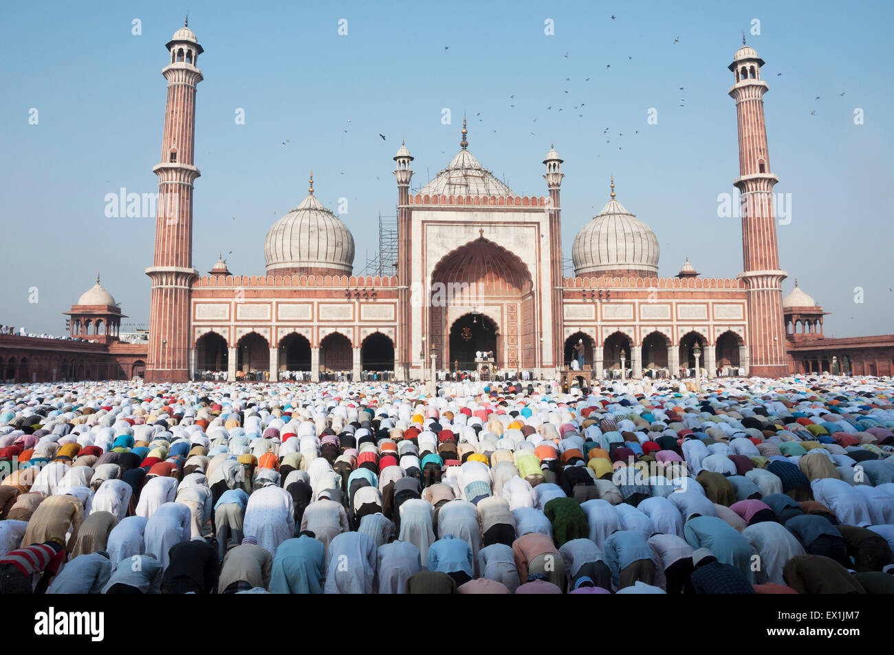 Personen bietet Gebete während des Festivals von Eid-Ul-Fitr in der Jama Masjid Moschee in Alt-Delhi, Indien. Stockfoto
