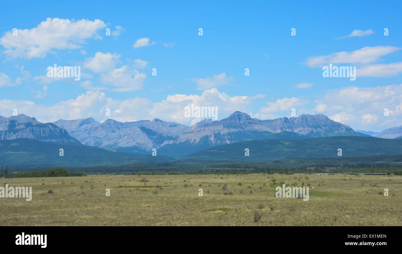 Die Rocky Mountains Treffen der Prärie von Alberta Stockfoto
