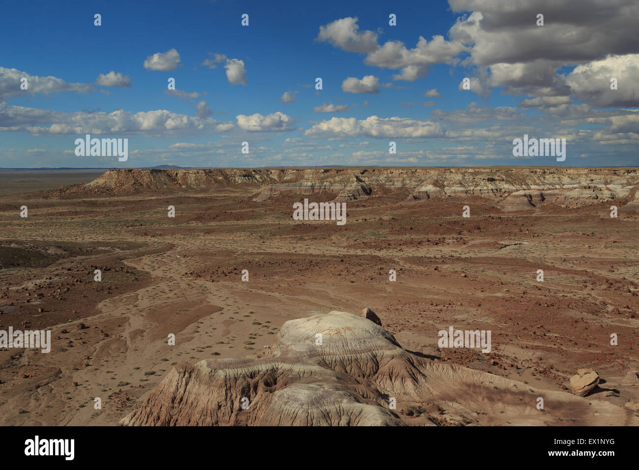 Eine Landschaft Fotografie des Petrified Forest National Park, in Arizona. Petrified Forest National Park ist ein United States. Stockfoto