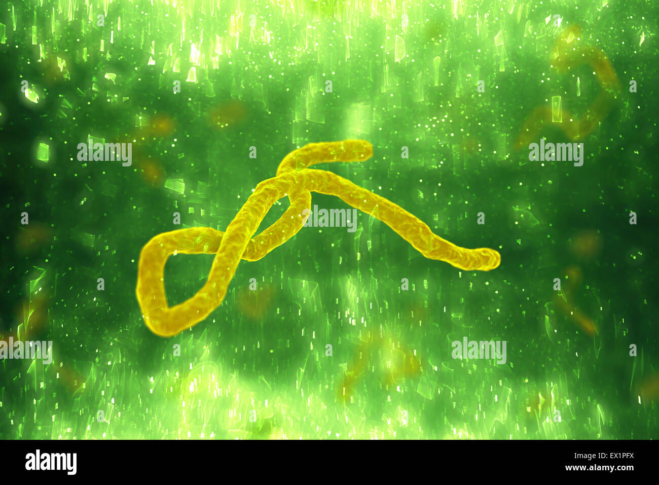 Virus oder Infektion Hintergrund Stockfoto Virus oder Infektion Hintergrund Stockfoto