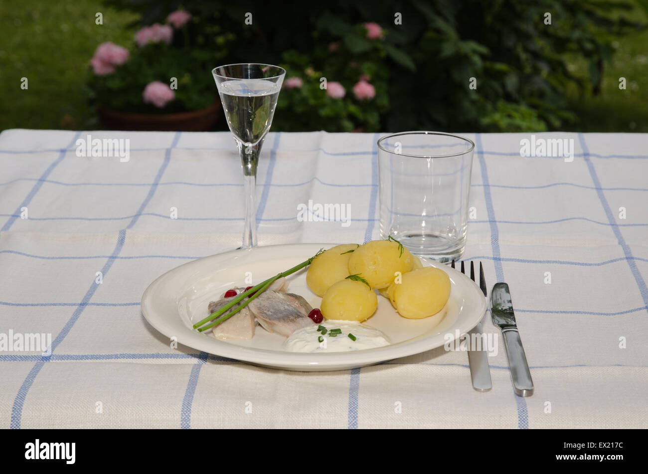 Traditionelle schwedische Mittsommer-Mahlzeit mit neuen Kartoffeln und Bismarckhering Stockfoto