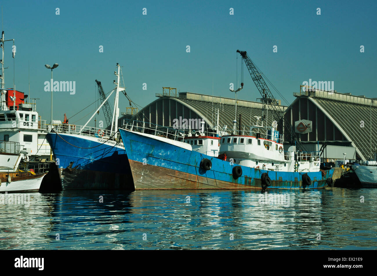 Fischverarbeitungsindustrie, globale Häfen, schöne Reflexionen, Fischerboote am Dock, Hafen von Durban, KwaZulu-Natal, Südafrika, Stadtlandschaft Stockfoto