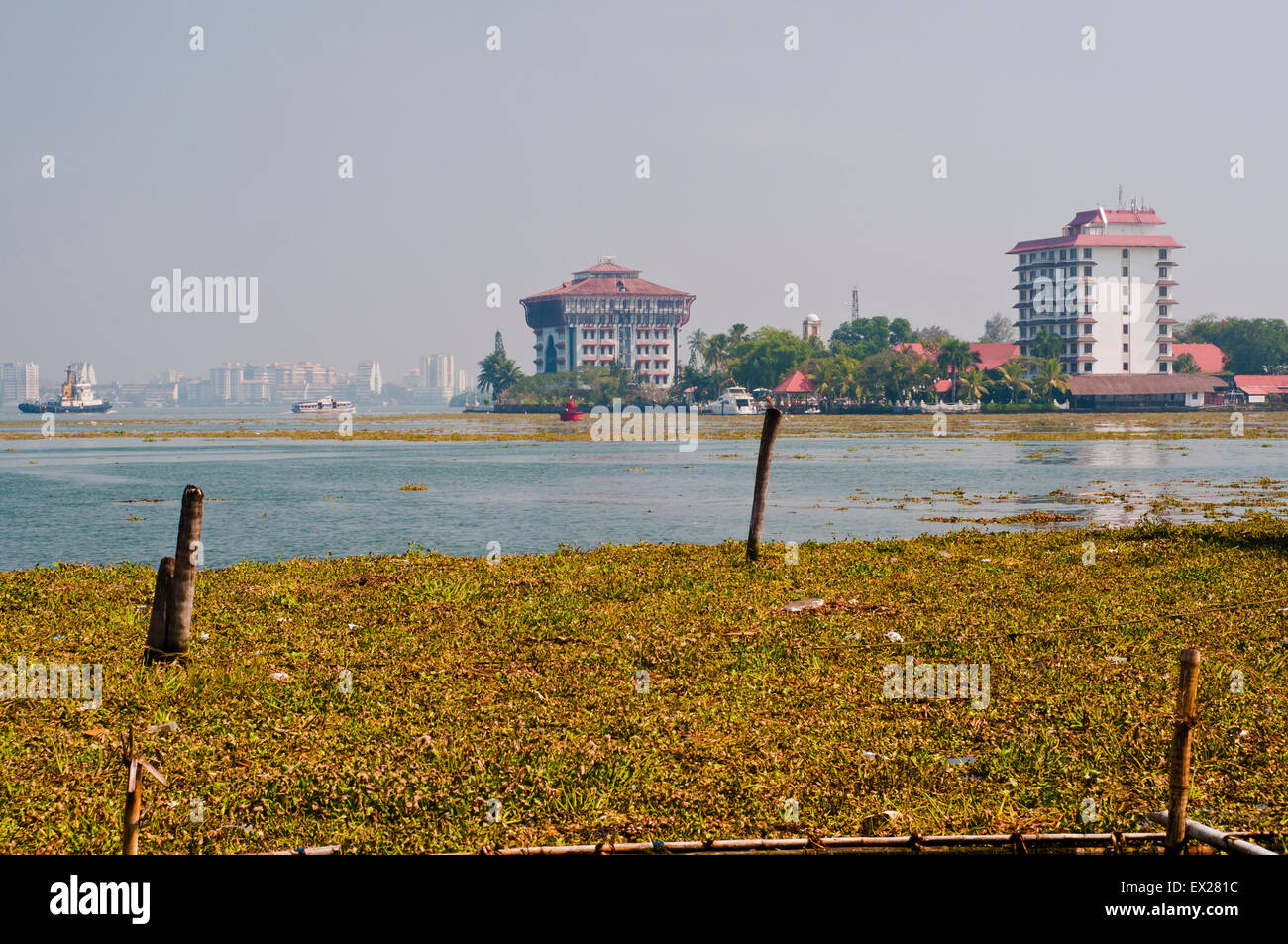 Fort Cochin, Kerala, Südindien, Indien, Asien Stockfoto