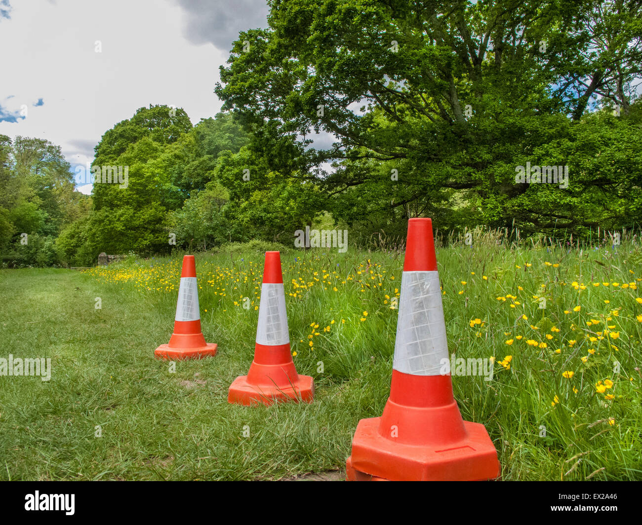 Surreale Bild der Leitkegel mitten im nirgendwo Stockfoto
