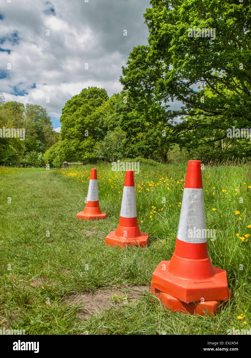 Surreale Bild der Leitkegel mitten in Natur Stockfoto