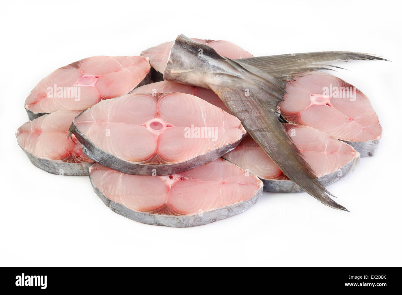 König Makrele Fisch Stockfoto
