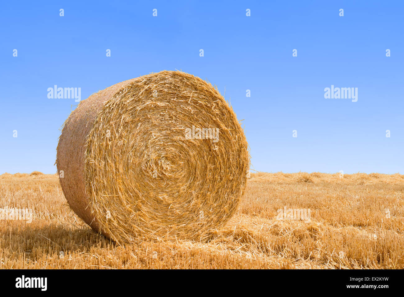 Ballen aus Stroh auf blauen Himmel Backgound mit Exemplar nach der Ernte gepresst Stockfoto