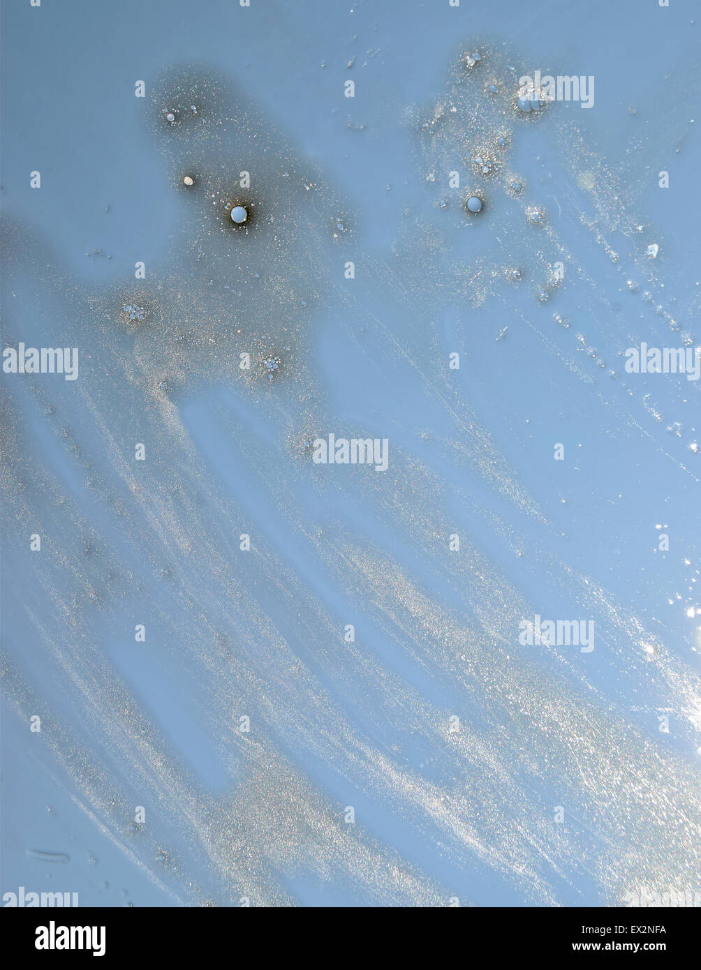 Öl verschmiert auf Glas mit blauem Hintergrund Stockfoto