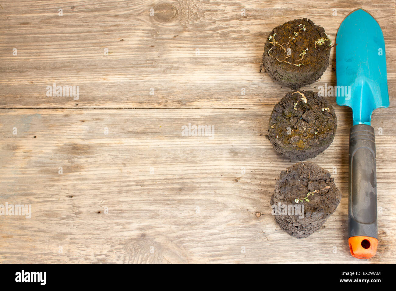 Gartenarbeit-Tool auf alten hölzernen Hintergrund. Kopieren Sie Raum nach rechts. Stockfoto