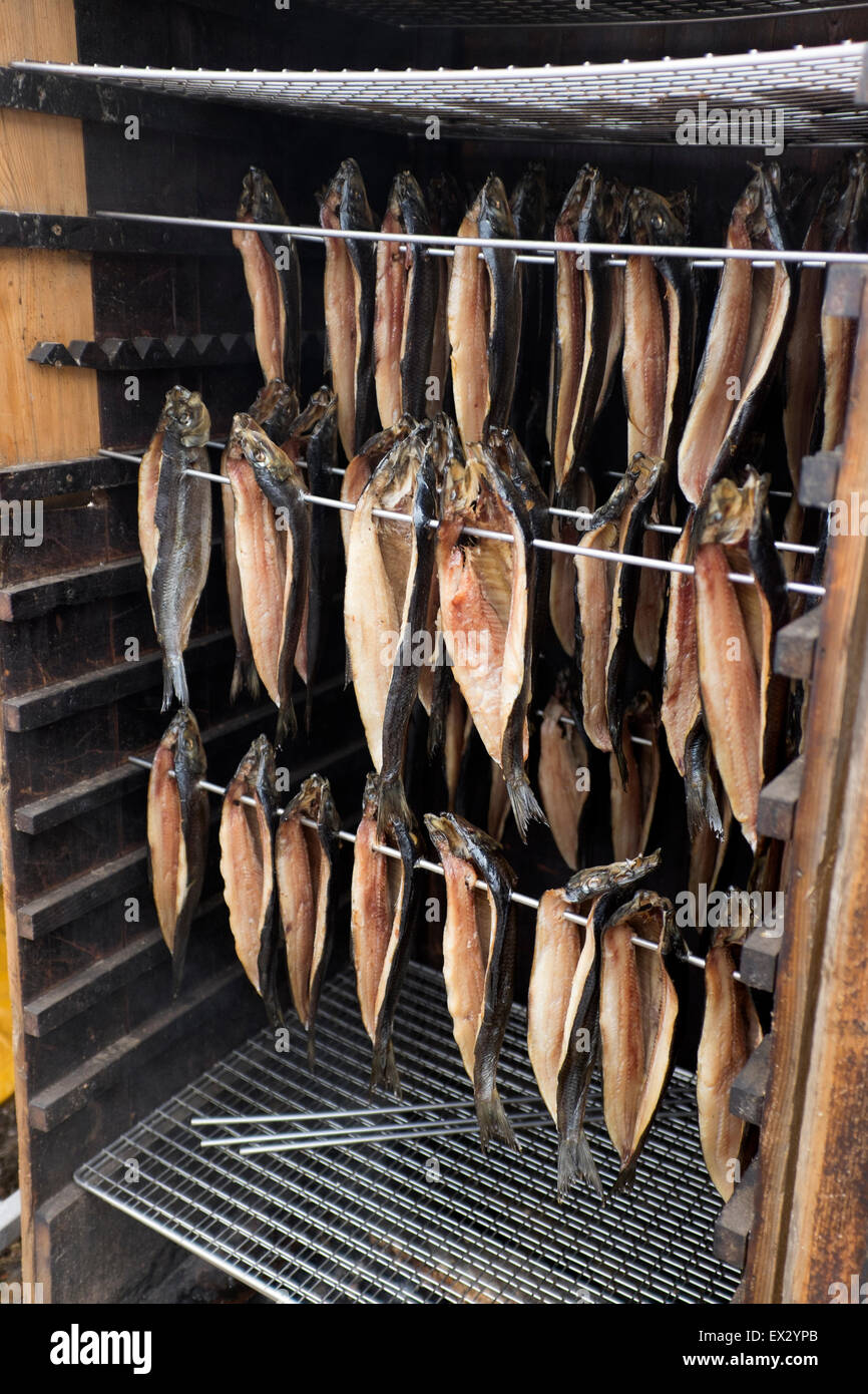 Fisch Bückling geräuchert Rauchen Aushärten Lebensmittel bleiben Stockfoto