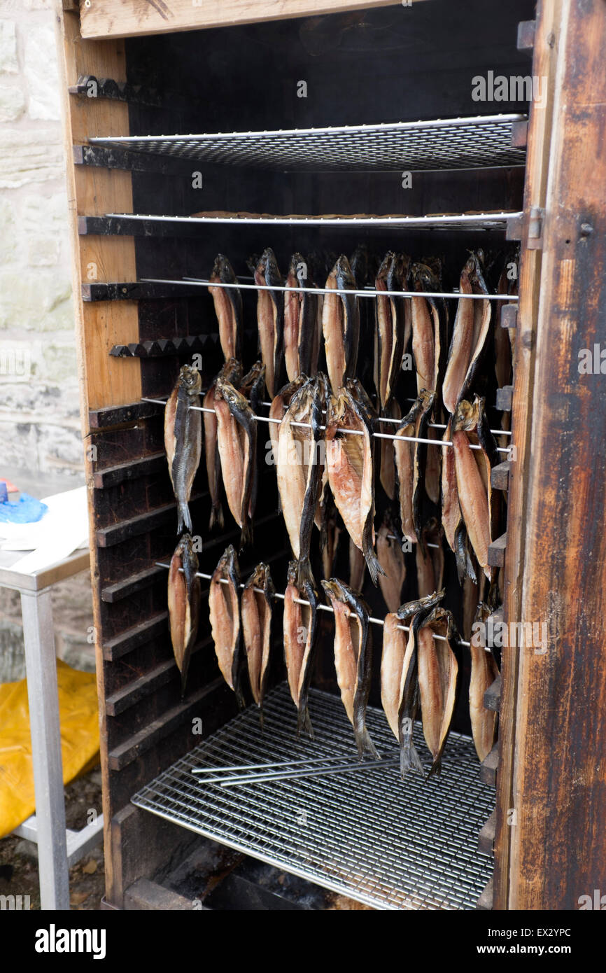 Fisch Bückling geräuchert Rauchen Aushärten Lebensmittel bleiben Stockfoto