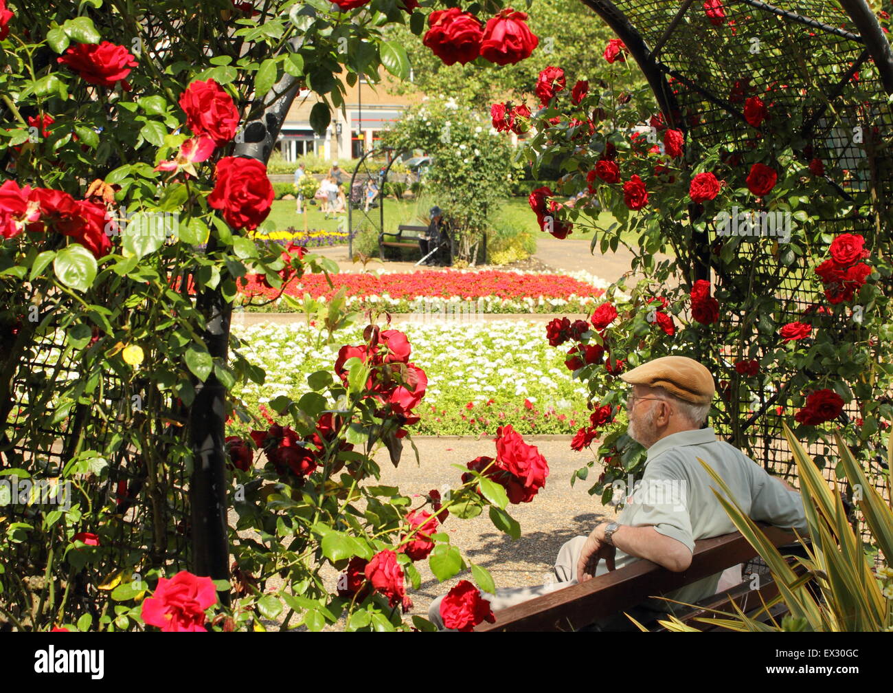 Ein Gentleman entspannt sich unter einer rose Bogen auf in Hall Leys Park, einem schönen öffentlichen Raum in Matlock, Derbyshire England UK Stockfoto